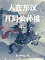 开局公孙度起点