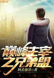 巅峰传奇txt全本
