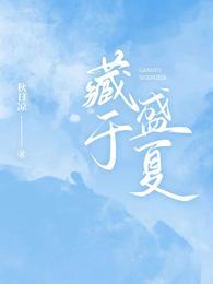 藏于盛夏英文翻译