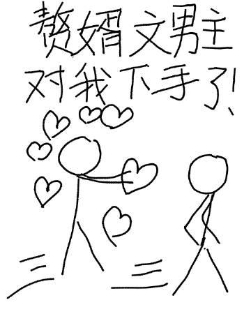 男主是赘婿的言情