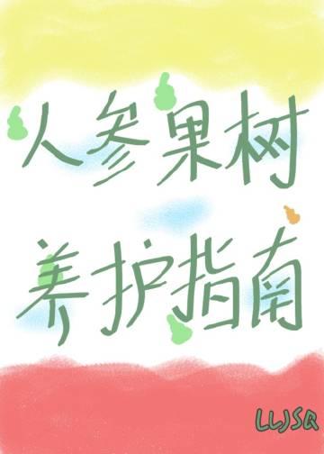 人参果树好养吗