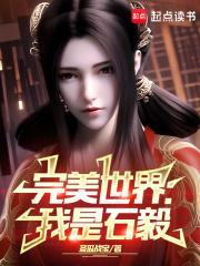 完美世界我是石毅作者冬瓜战宝