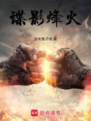 谍影烽火TXT全本