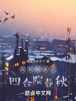 回到过去之四合院春秋 第447章