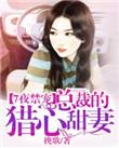 7夜禁宠总裁的猎心甜妻 挽歌