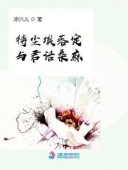尘埃落定花落谁家