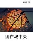 困在城中央希夷txt