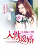 入骨暖婚大结局