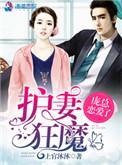护妻狂魔总裁