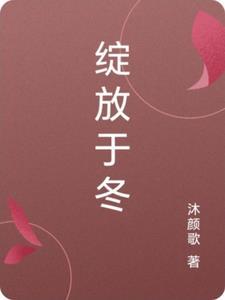 绽放yui