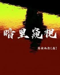 电视暗中窥探