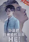 卧底后我意外把总裁掰弯了双洁吗