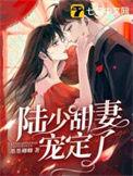 陆少甜妻宠定了完整版