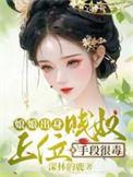 娘娘上位史