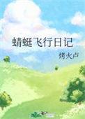 蜻蜓飞行日记讲的什么故事