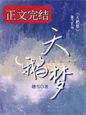 拉格精酿啤酒天鹅梦