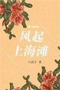 风起上海滩50集全免费
