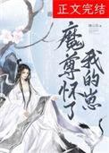 魔尊怀了仙尊的孩子by