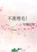 不准埋毛by短歌在途txt