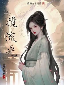 揽流光三千