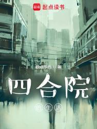 四合院生活的电视剧