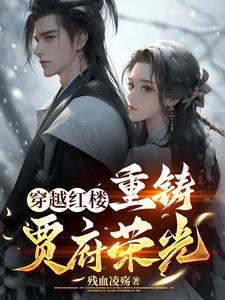 穿越红楼贾政系统