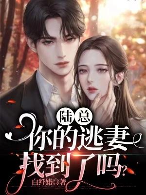 l陆少你老婆逃婚了全文