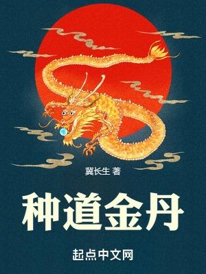 种道金丹顶点