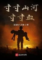 寸寸山河寸寸血大结局