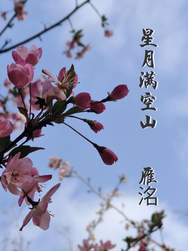 星月满空山暗示什么