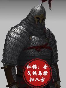 红楼金戈铁马横扫八方免费阅读