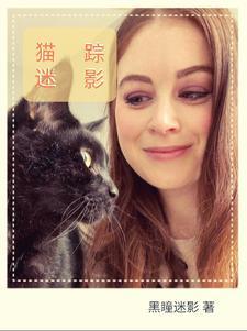 迷踪丽影和暗夜猫娘