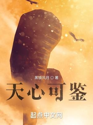 天心可鉴我真诚