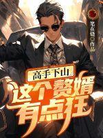 这个赘婿有点强txt
