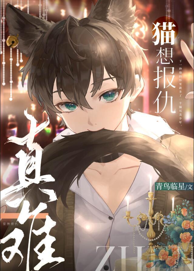 猫咪报仇