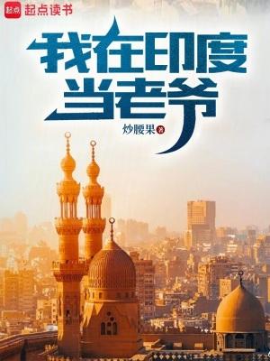 我在印度当老爷速读谷