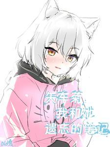 矢车菊