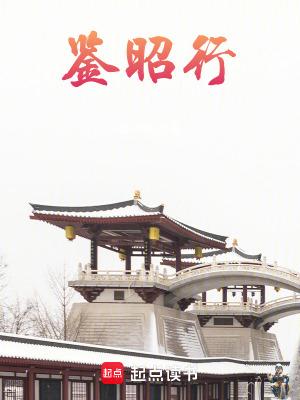 鉴昭行txt