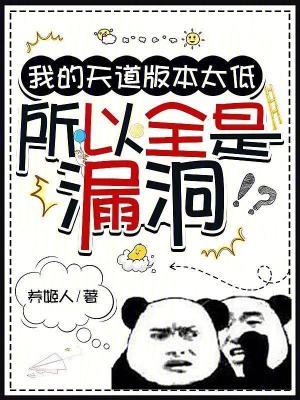 所以全是漏洞 在线阅读