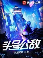 头号公敌2正版观看