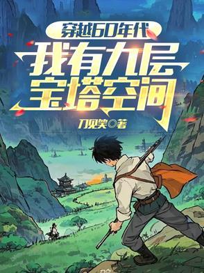 穿越60年代我有九层宝塔空间全集