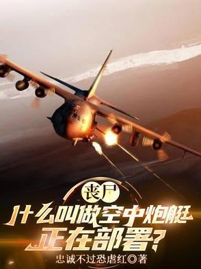 空中炮艇百科