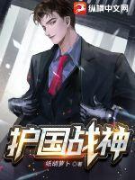 护国战神林羽全集免费阅读