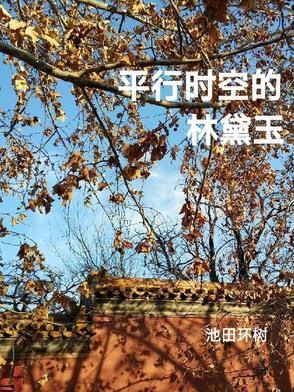 平行时空的梦