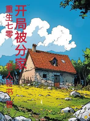 重生七零分家记