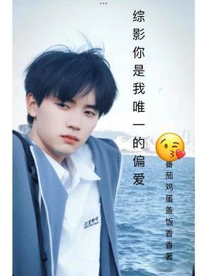 你是我唯一的偏爱和例外
