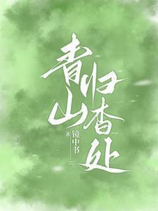 青山归杳处by镜中书