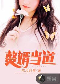 赘婿当道全集在线观看