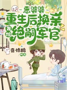 嫁隔壁绝嗣军官生双胎前夫气疯
