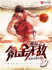 篮坛之氪金无敌txt精校版